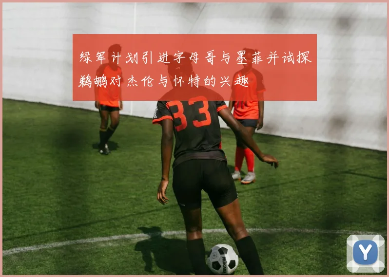 绿军计划引进字母哥与墨菲并试探鹈鹕对杰伦与怀特的兴趣