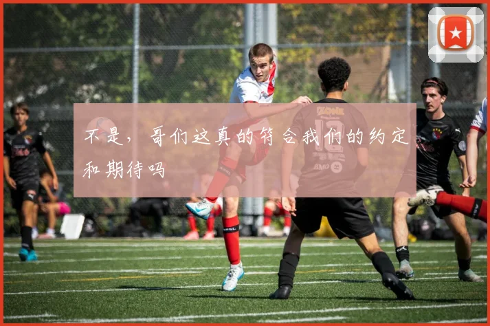 不是，哥们这真的符合我们的约定和期待吗